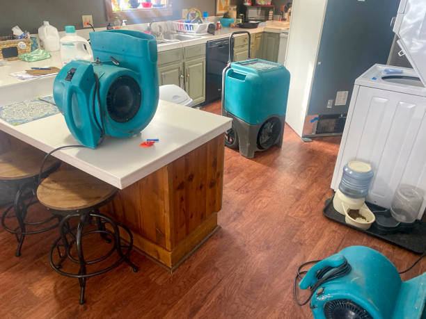 Best Water damage contractors near me  in Bristow, OK