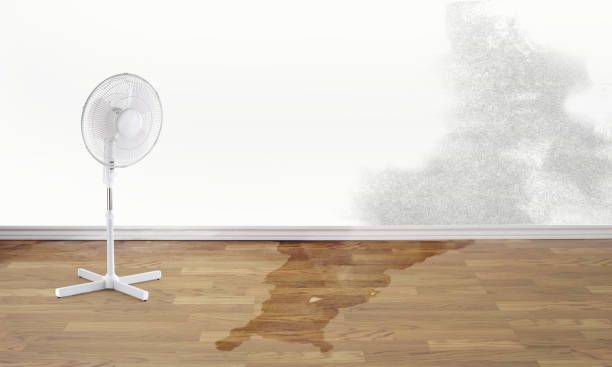 Best Professional water damage repair  in Bristow, OK