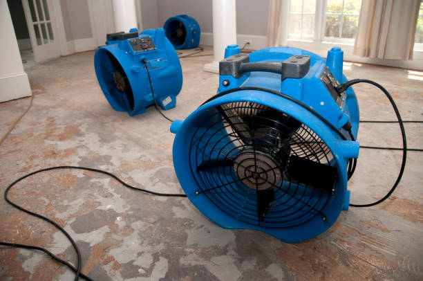 Best Water damage restoration near me  in Bristow, OK