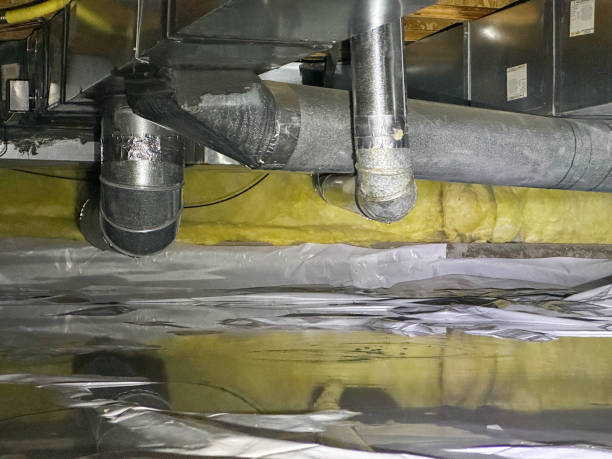 Best Water damage contractors near me  in Bristow, OK