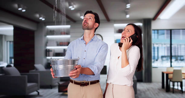 Best Professional water damage repair  in Bristow, OK